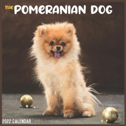 Bertrand.pt - The Pomeranian Dog 2022 Calendar
