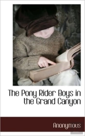 The Pony Rider Boys In The Grand Canyon