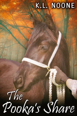 Bertrand.pt - The Pooka'S Share