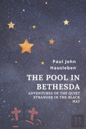 The Pool In Bethesda: Adventures Of The