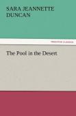 The Pool In The Desert