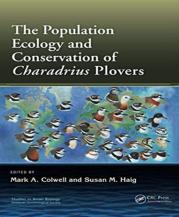 The Population Ecology And Conservation Of Charadrius Plovers