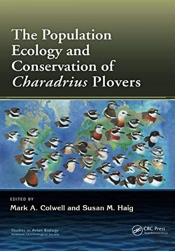 Bertrand.pt - The Population Ecology And Conservation Of Charadrius Plovers