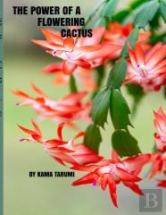 The Power Of A Flowering Cactus