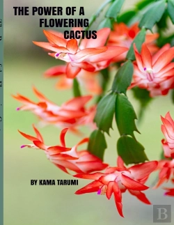 Bertrand.pt - The Power Of A Flowering Cactus
