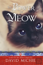 The Power Of Meow