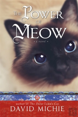 Bertrand.pt - The Power Of Meow