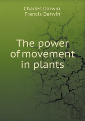 The Power Of Movement In Plants