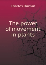 The Power Of Movement In Plants