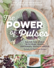 The Power Of Pulses