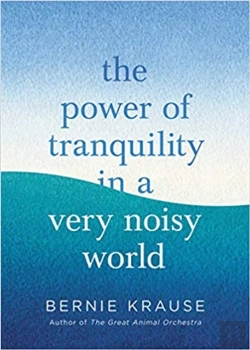Bertrand.pt - The Power Of Tranquility In A Very Noisy World