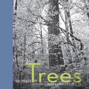 The Power Of Trees