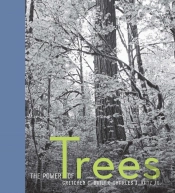 The Power Of Trees