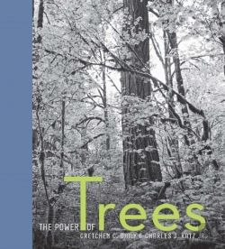 Bertrand.pt - The Power Of Trees