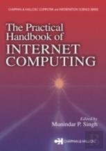 The Practical Handbook Of Internet Computing