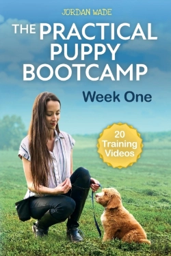 Bertrand.pt - The Practical Puppy Bootcamp