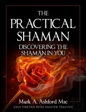 The Practical Shaman - Discovering The S