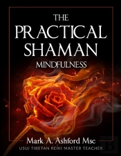 The Practical Shaman - Mindfulness