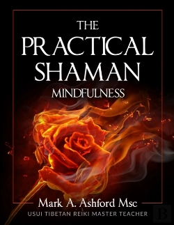 Bertrand.pt - The Practical Shaman - Mindfulness