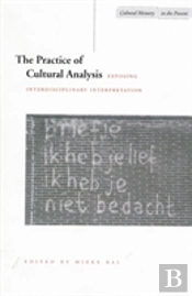 The Practice Of Cultural Analysis