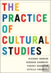 The Practice Of Cultural Studies