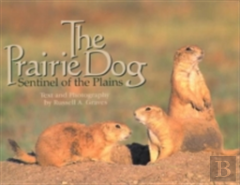 The Prairie Dog