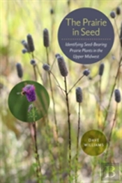 The Prairie In Seed