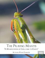 The Praying Mantis
