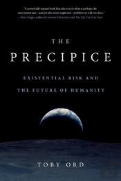 The Precipice