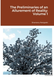 The Preliminaries Of An Allurement Of Reality
