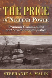 The Price Of Nuclear Power
