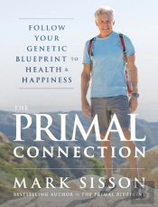 The Primal Connection