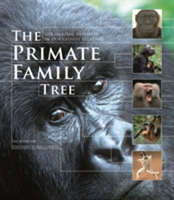 Bertrand.pt - The Primate Family Tree