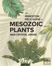 The Princeton Field Guide To Mesozoic Plants