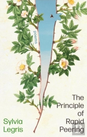 The Principle Of Rapid Peering