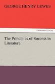 The Principles Of Success In Literature