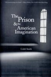 The Prison And The American Imagination