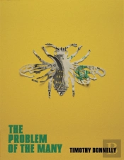 The Problem Of The Many