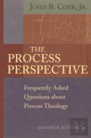 The Process Perspective