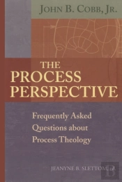 The Process Perspective