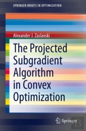 The Projected Subgradient Algorithm In Convex Optimization