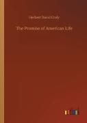 The Promise Of American Life