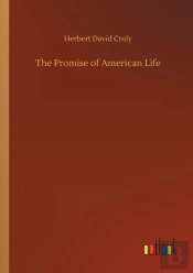 The Promise Of American Life