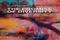 The Promise Of Diversity Â€“ How Brazilian Brand Capitalism Affects Precarious Identities And Work