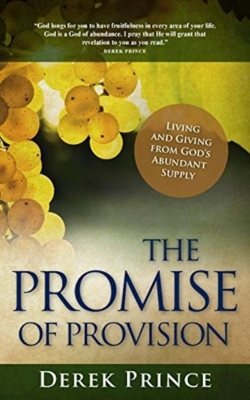 Bertrand.pt - The Promise Of Provision