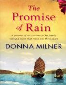 The Promise Of Rain