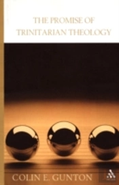 The Promise Of Trinitarian Theology