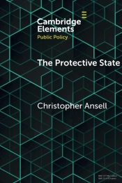 The Protective State