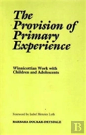 The Provision Of The Primary Experience