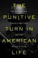 The Punitive Turn In American Life
